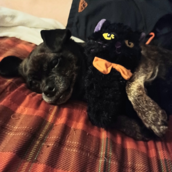 Melissa 🌟Posh Ambassador!🌟 - Picture 14 of 16